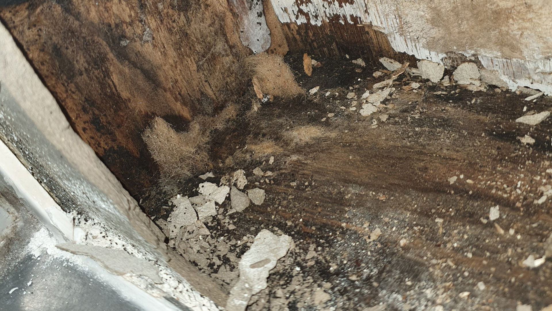 How An Undetected Water Leak Can Cost You Thousands Beenleigh 